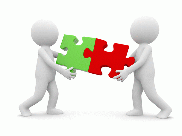 19 نکته آموزش تربیت سگ اصولی و صحیح (از تولگی تا بالغ)