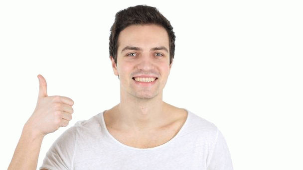 14 نکته مهم در مورد لاغری و چاقی سگ