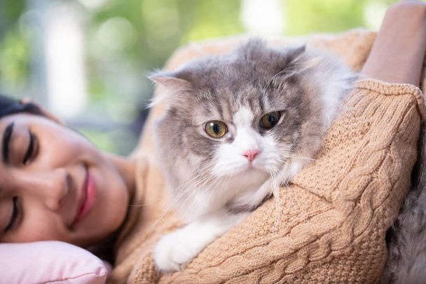 نگهداری از گربه در خانه - تربیت گربه خانگی - بهداشت گربه - نکات مراقبت از گربه - غذای گربه