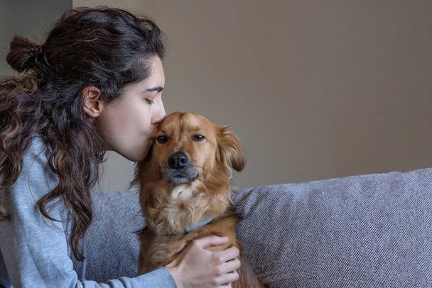 نگهداری سگ در خانه - تربیت سگ - نکات مراقبت از سگ - غذای سگ