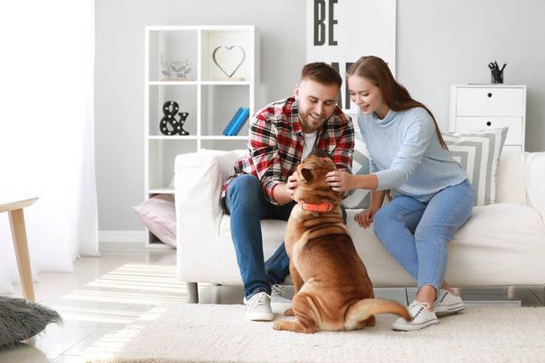 نگهداری سگ در خانه - تربیت سگ - نکات مراقبت از سگ - غذای سگ