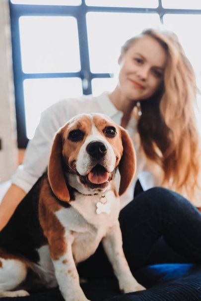 نگهداری سگ در خانه - تربیت سگ - نکات مراقبت از سگ - غذای سگ