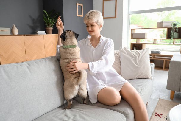 نگهداری سگ در خانه - تربیت سگ - نکات مراقبت از سگ - غذای سگ