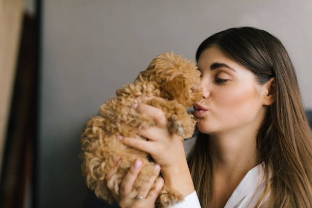 نگهداری سگ در خانه - تربیت سگ - نکات مراقبت از سگ - غذای سگ